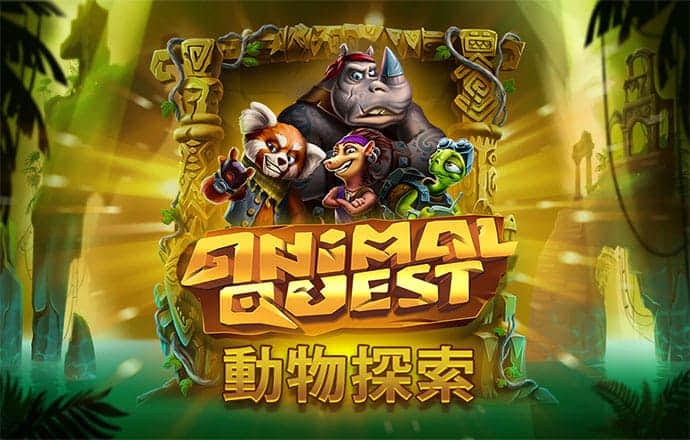 澳门今晚开什么码网站软件